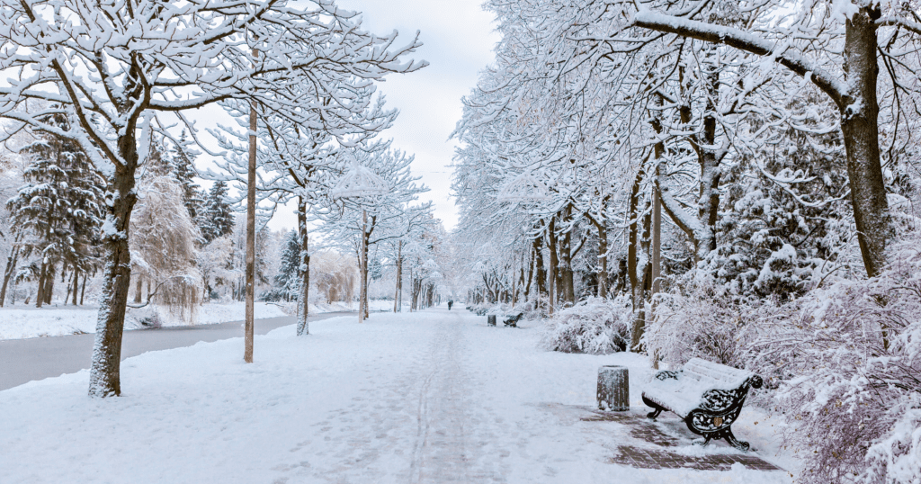 Winter Weather and Moving