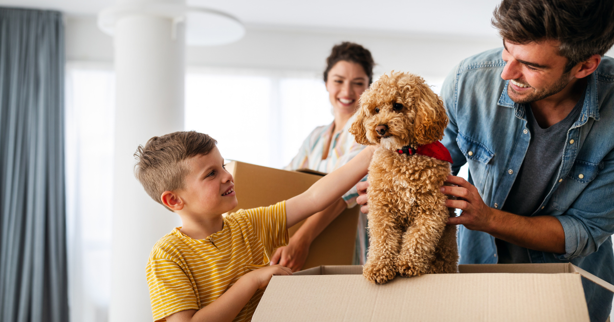 Moving with Pets