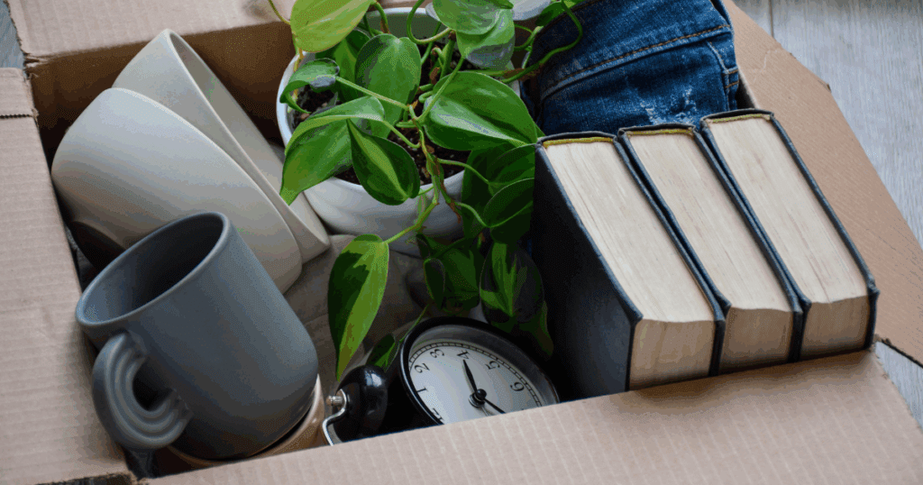Decluttering Box